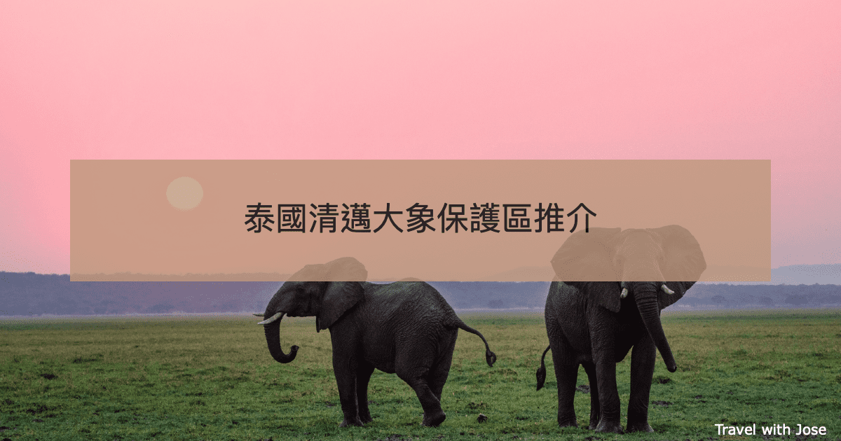【清邁大象保護區推介】如何分辨真假及2家大象保護區比較