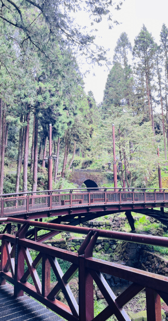 漂亮的阿里山景色