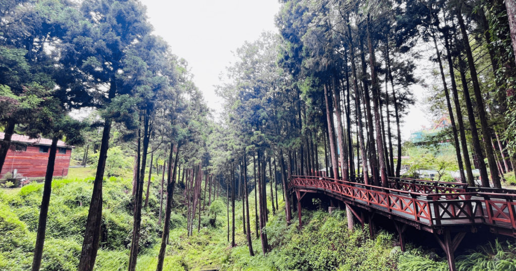 阿里山風景