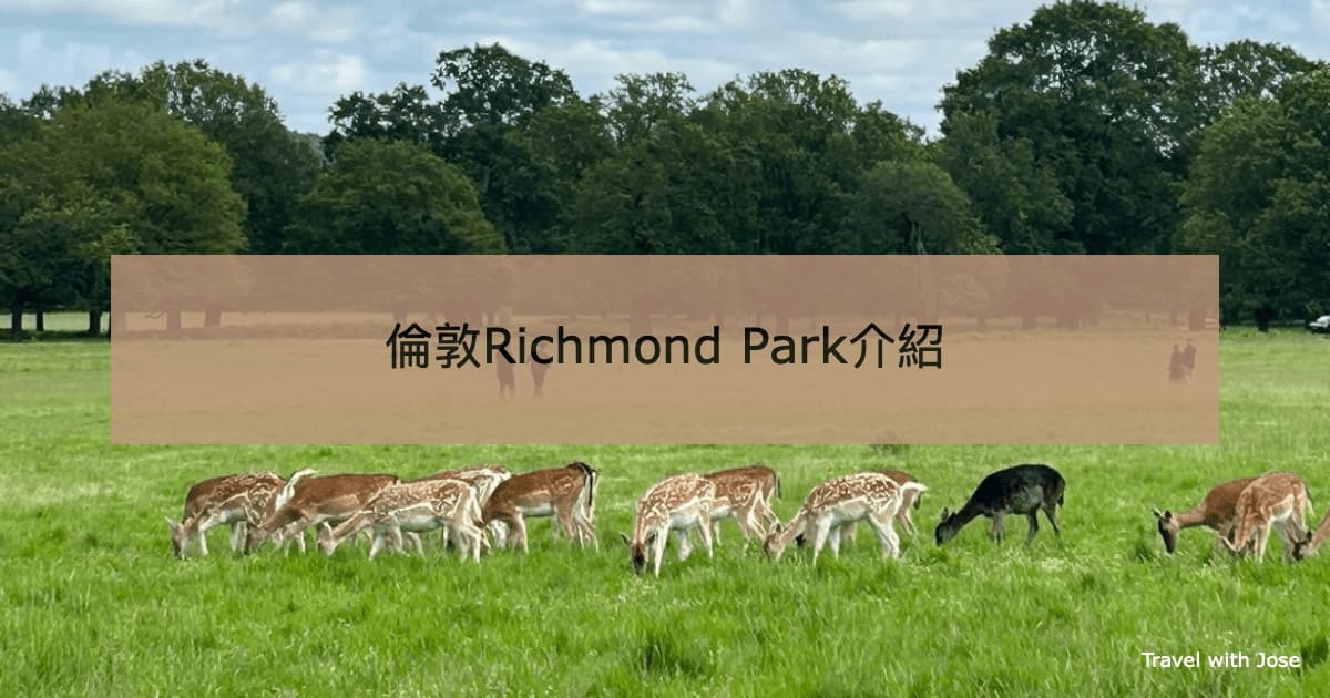 【里奇蒙公園】倫敦Richmond Park捕捉皇家野生小鹿身形