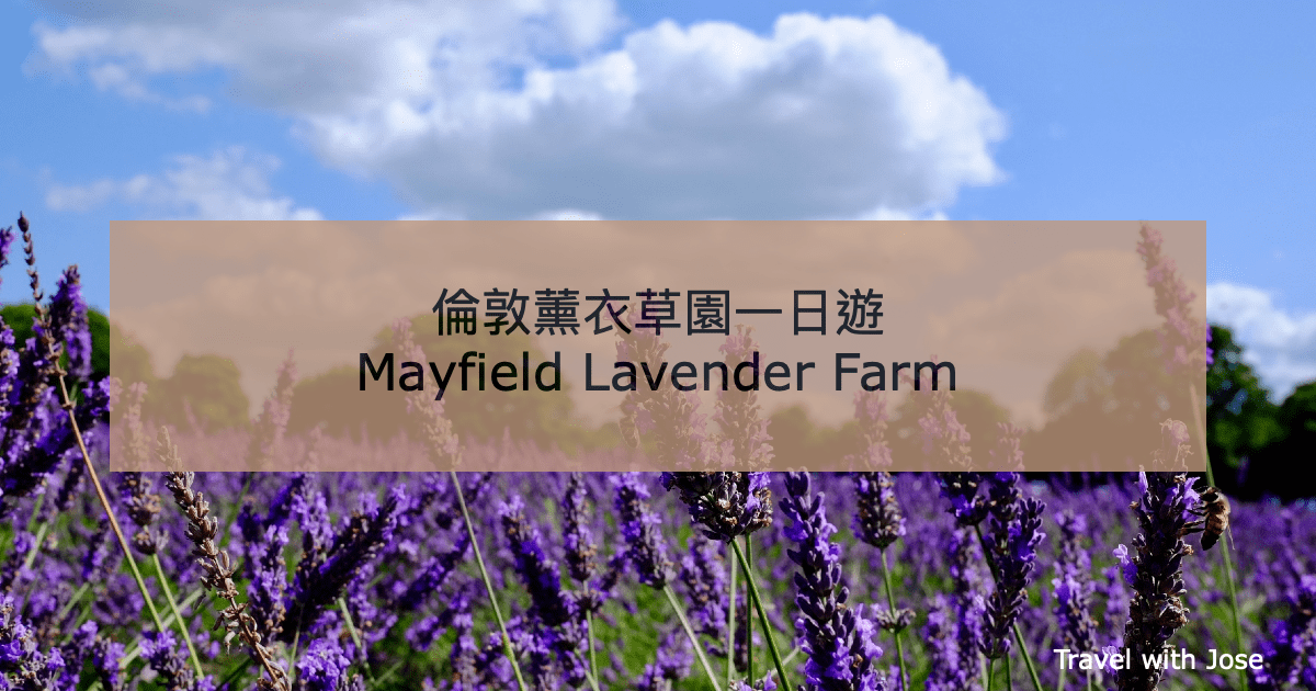 【Mayfield Lavender Farm】倫敦薰衣草園一日遊