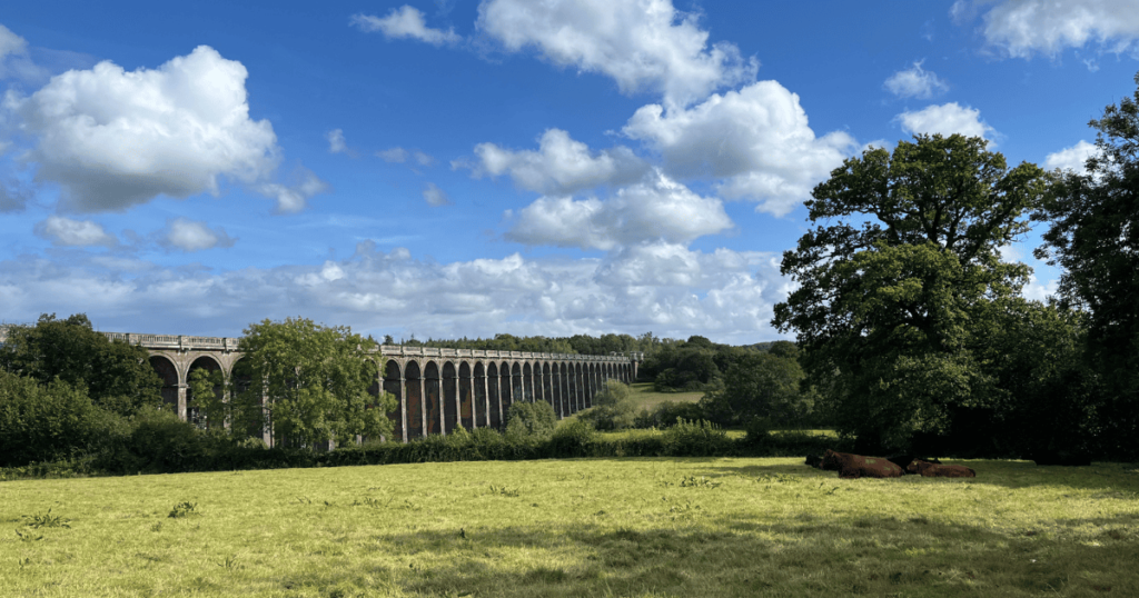 Ouse Valley Viaduct的風景