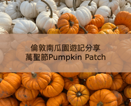 【倫敦Pumpkin Patch】萬聖節必訪！完美秋日南瓜田體驗指南