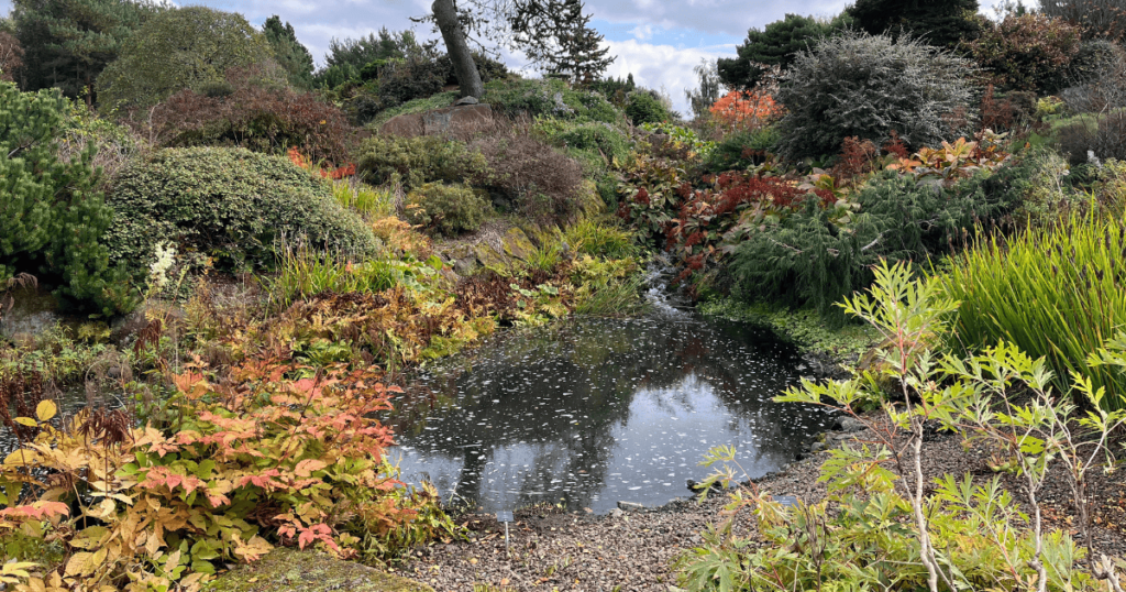 愛丁堡植物園