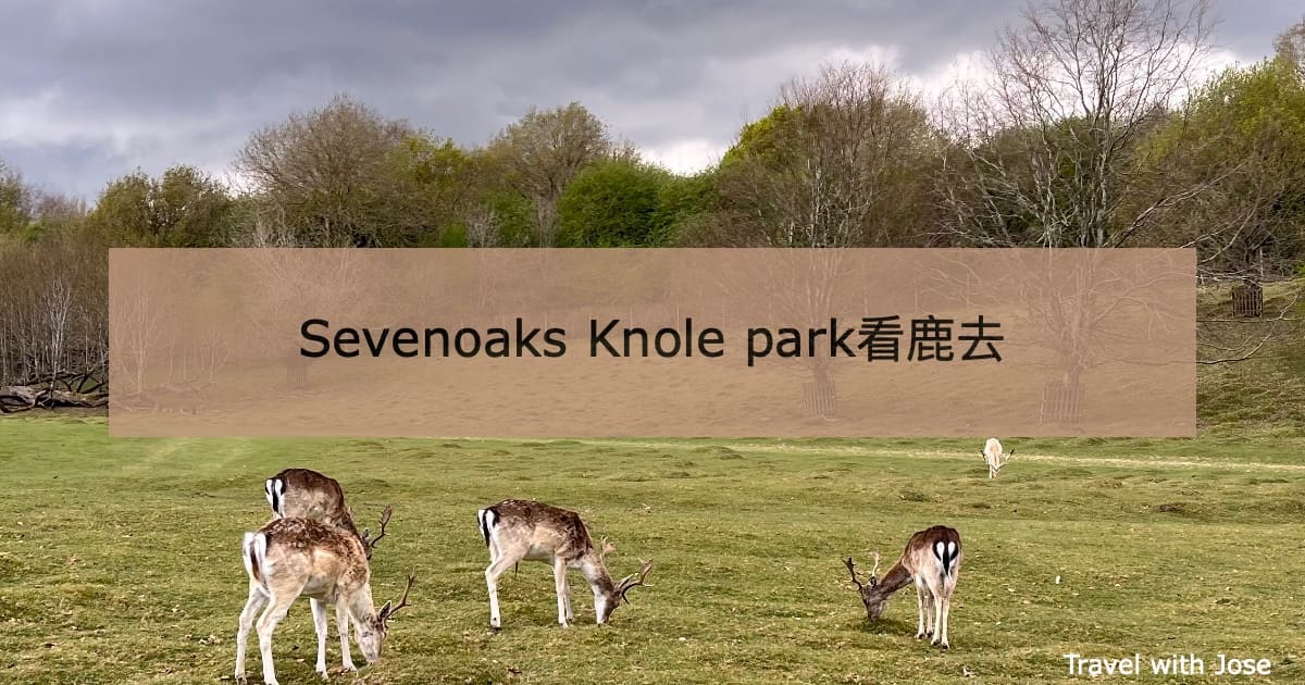 【倫敦行山】Sevenoaks Knole park看鹿去