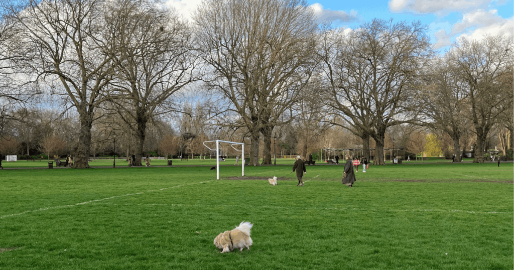 Battersea Park