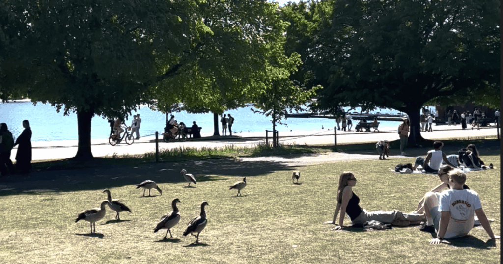 Hyde Park
