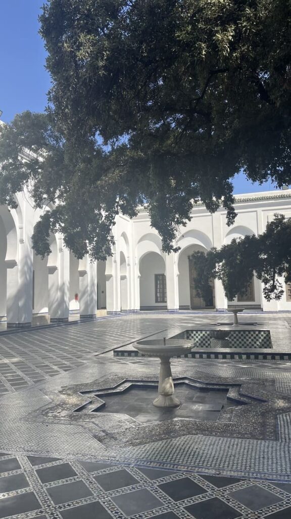 博物館中庭花園