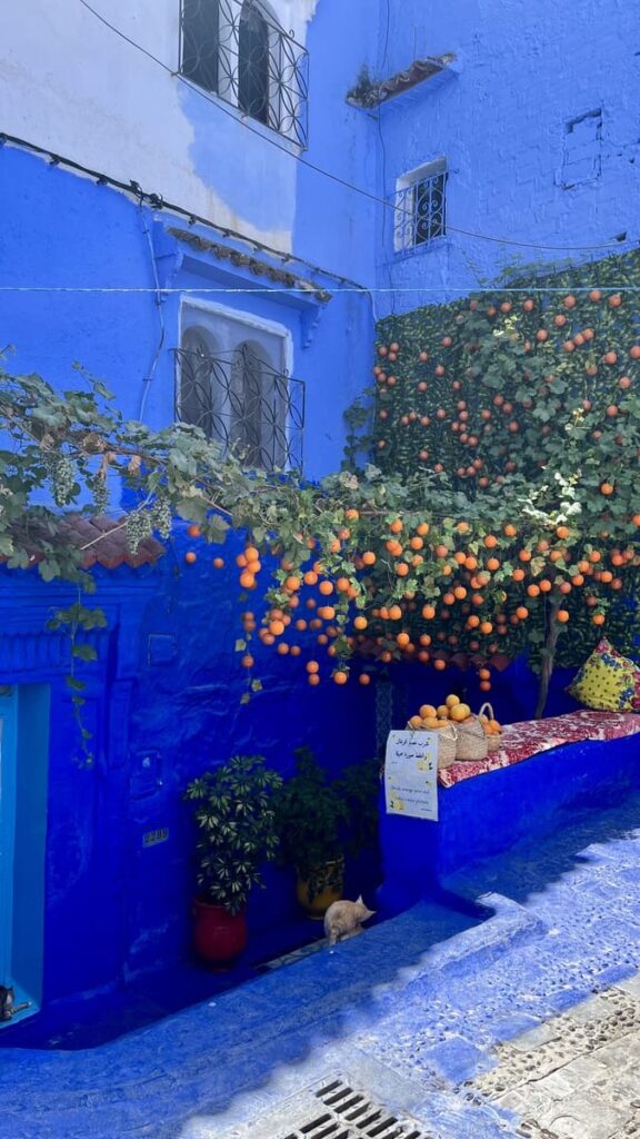 舍夫沙萬(Chefchaouen)