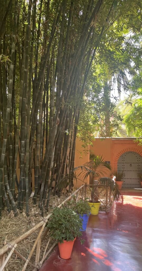 馬若雷勒花園(Jardin Majorelle)