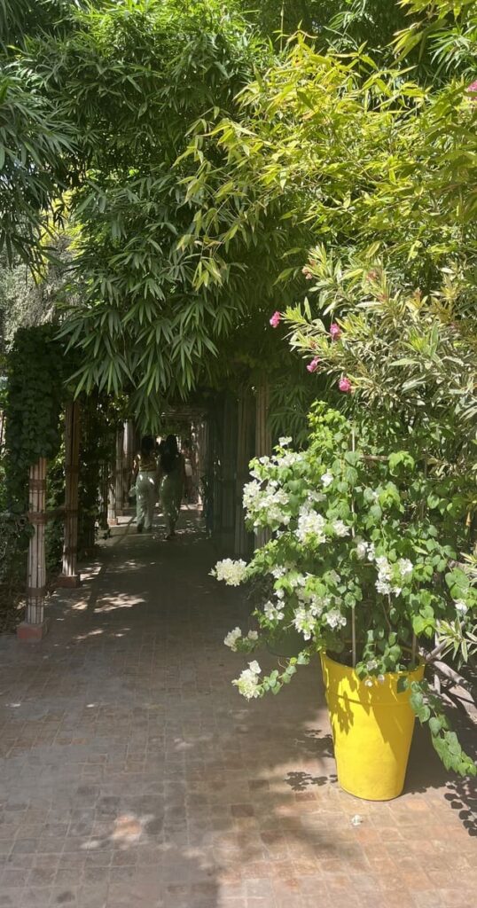 馬若雷勒花園(Jardin Majorelle)