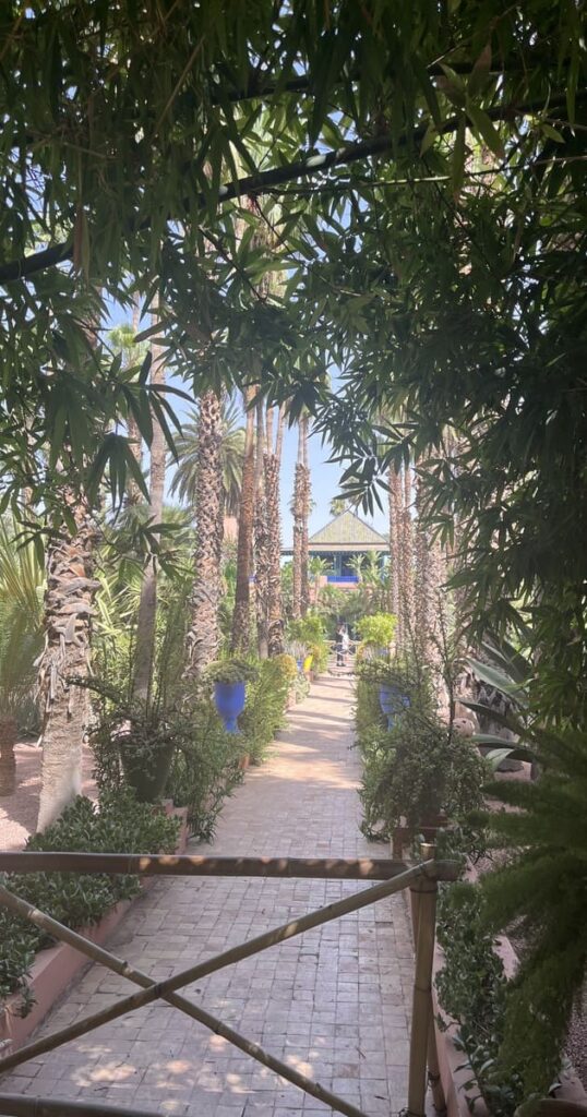 馬若雷勒花園(Jardin Majorelle)